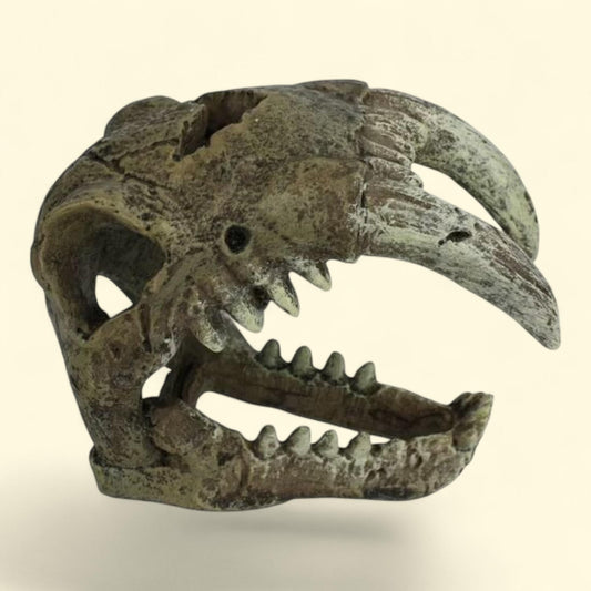 Komodo Saber Tooth Skull Decor, Polyresin, Bone Color, Aquarium or Reptile Tank, Aquarium Decor, 1count