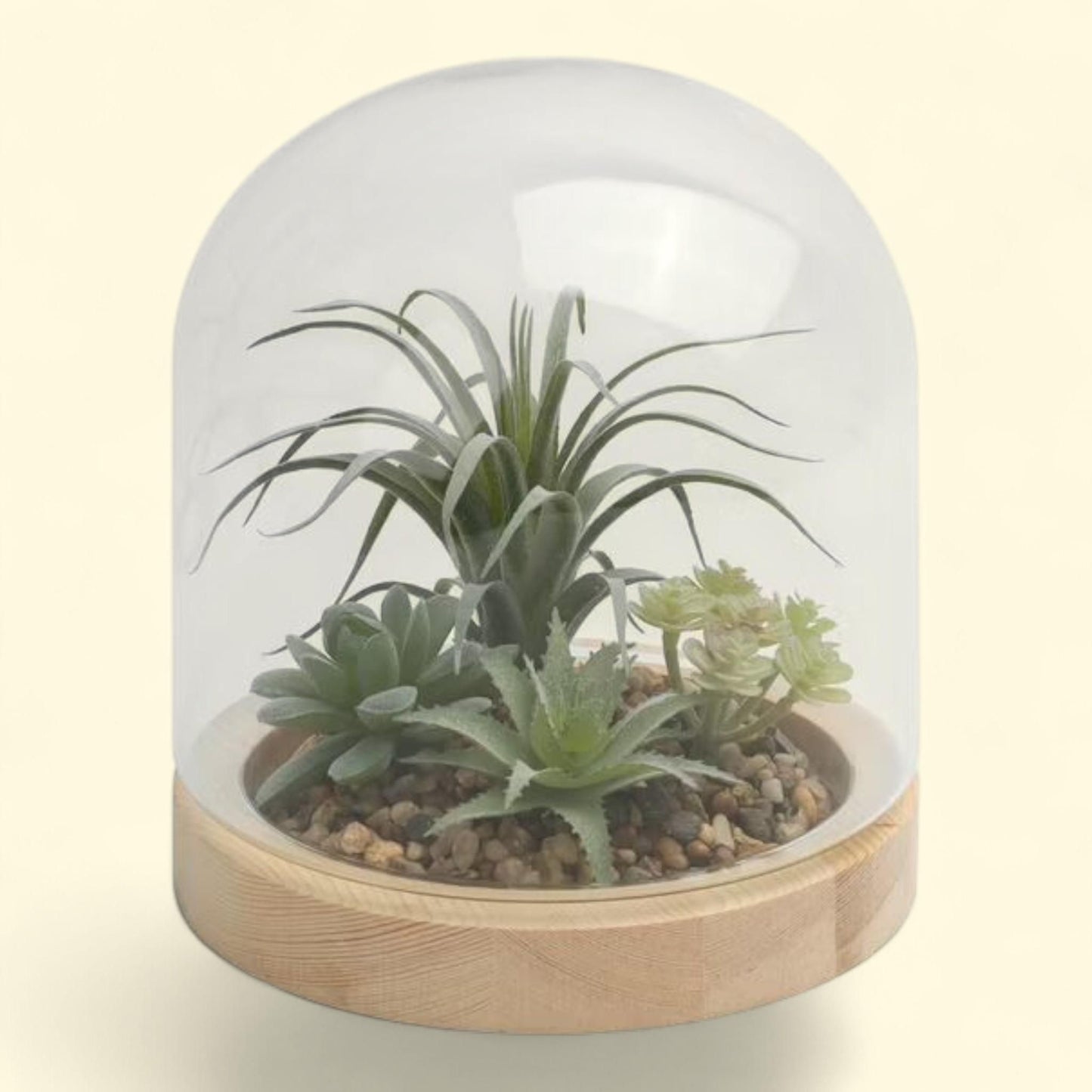Collection de décoration d'intérieur : terrarium en verre contenant des plantes succulentes artificielles, 25 cm