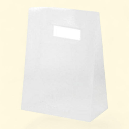 JAM Paper Mini Frosted Lunch Bag, 3 x 4 x 1.5, Clear, 1/Pack