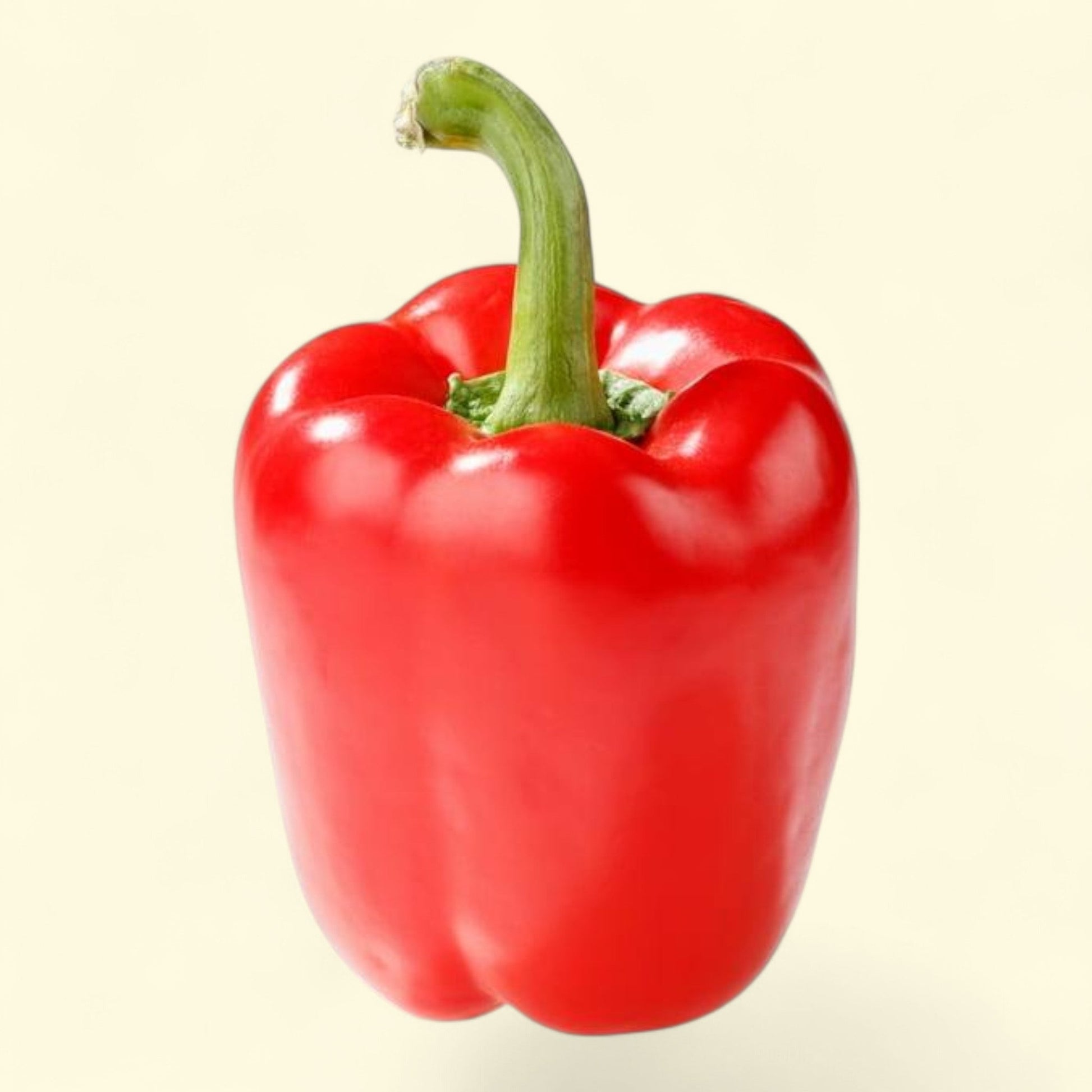 Fresh Red Bell Pepper, 1 Each — authentic US product shipped worldwide by Treatspree