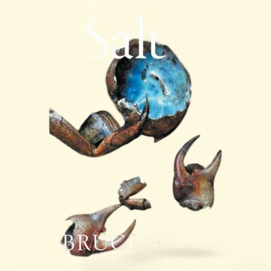 Salt: Selected Stories and Essays, Paperback, 1 ct