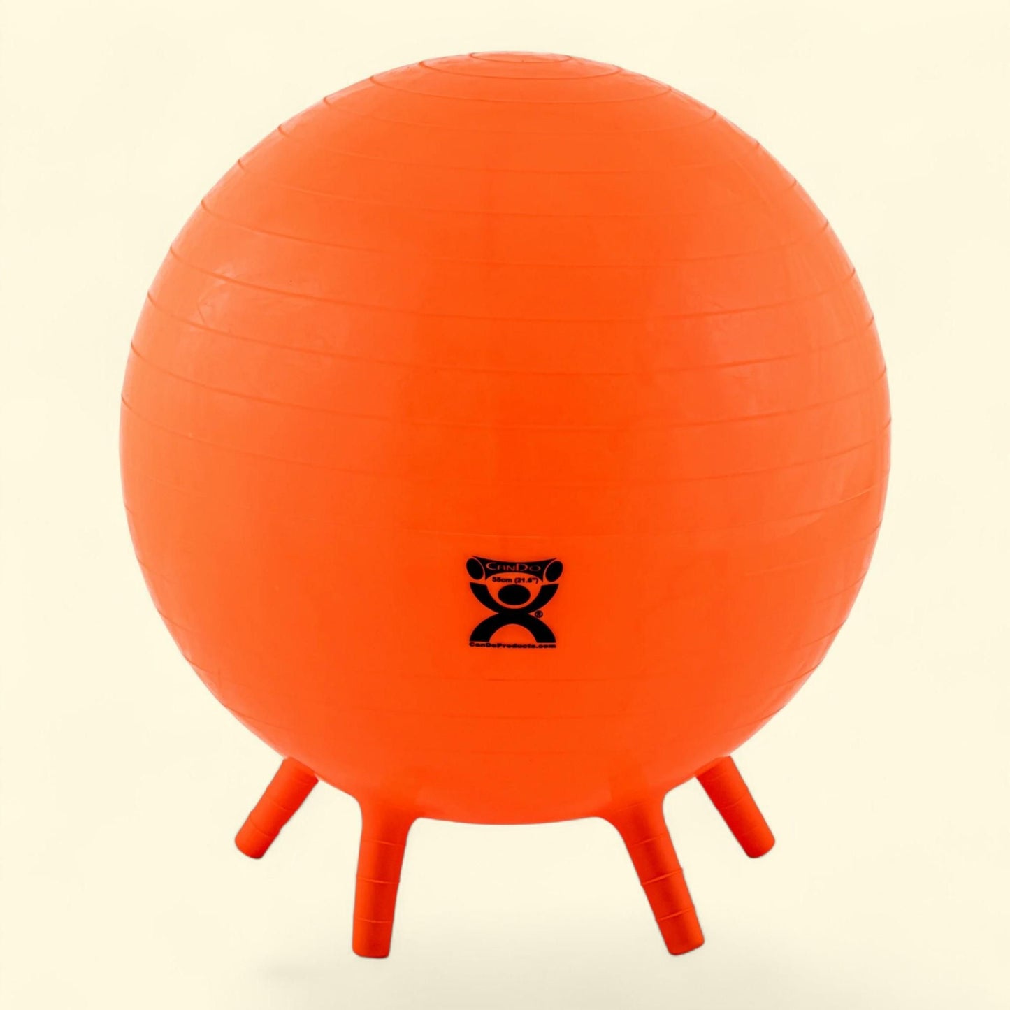 CanDo Exercise Ball, 22"
