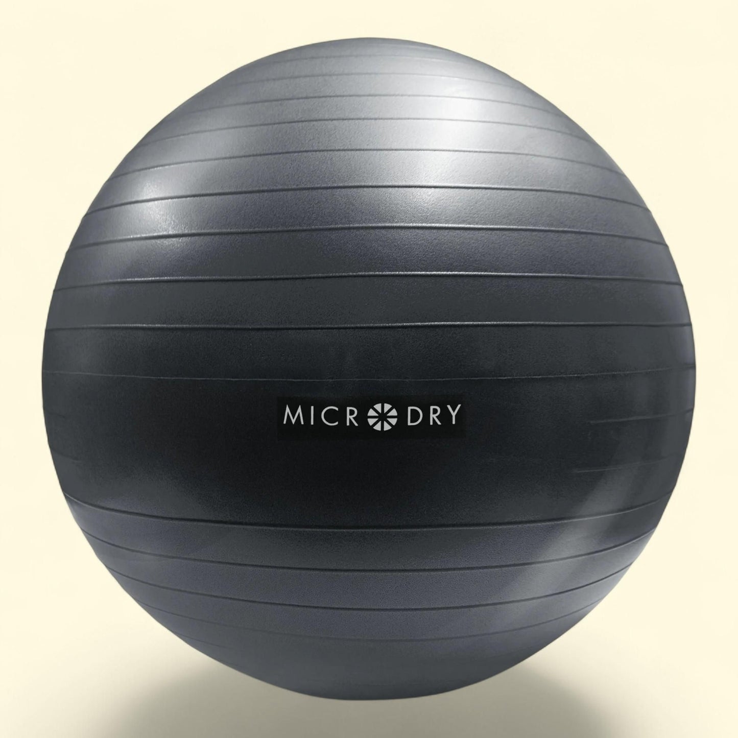 Microdry Exercise Ball with Pump, Gray, 1 ct